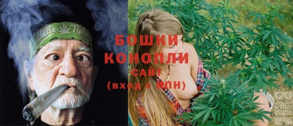 винт Бородино