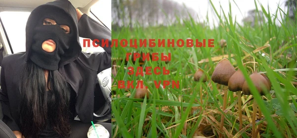 стаф Бронницы