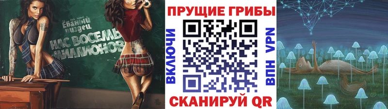 Псилоцибиновые грибы прущие грибы  Камышлов 